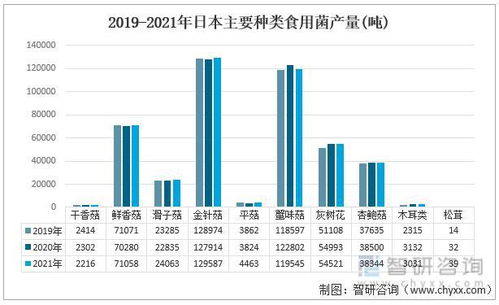 日本食用菌行业现状分析 食用菌产销量扩大,进出口量差距缩小